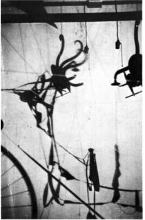 Shadows of a Readymade - Marcel Duchamp or Man Ray 1918