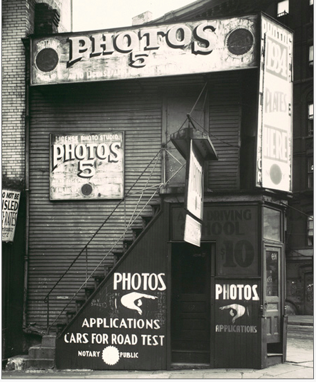 License Photo Studio, New York, 1934 Walker Evans 